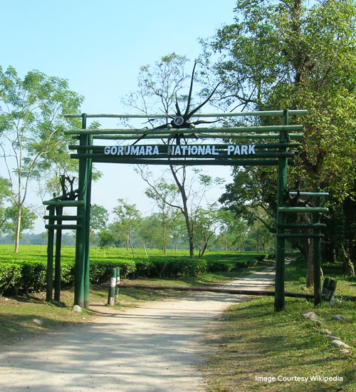 Gorumara Forest