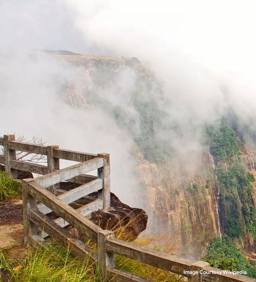 Wankhar Entomology Museum