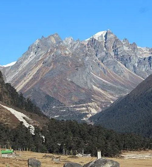Yumthang valley